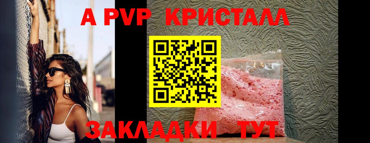 A-PVP  Вход с VPN  где найти   Альфа ПВП СК КРИС  Донской 